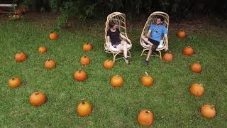 Pumpkin Patch for Photographers Jacksonville, Florida