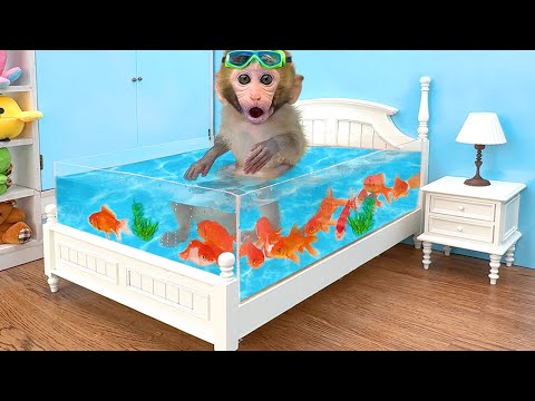 Monkey Baby Bon Bon Goes Fishing and Swims with Ducklings in the Pool