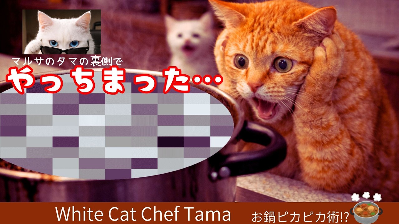 【タマのごはん処】やっちまった！腹ペコ子猫が絶望…マルサのタマはお仕事中…救出なるか！