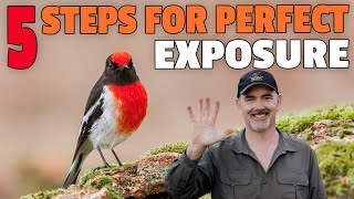 How To Achieve the Correct Exposure Every Time for Wildlife Photography!