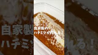 自家製の高級ハチミツ！少しの手間で美味しいハチミツが採れちゃう！ #Shorts