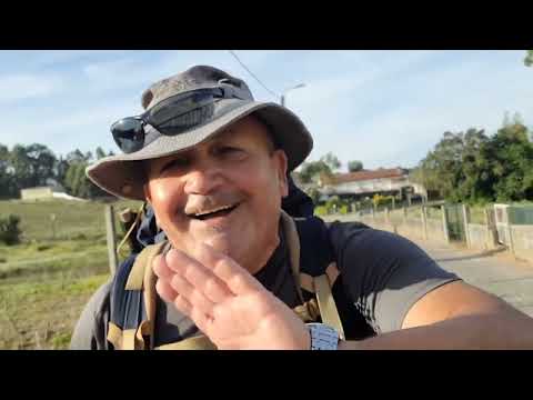 Camino de Santiago