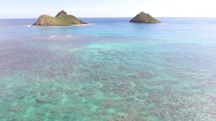 Hawaii Drone