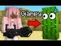 NASCONDINO Con i BLOCCHI Su MINECRAFT ITA