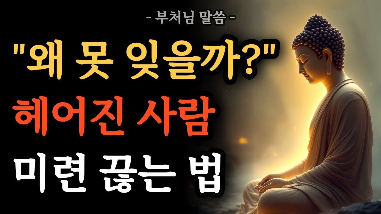 왜 못 잊을까? 이별 후 미련과 후회를 끊는 법 | 부처님 말씀 | 인연 정리 | 마음 내려놓기 | 불교 명언 | 석가모니 가르침 | 오디오북