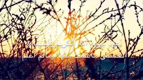 💌من اعظم الأذكار التي تحمي الانسان!💛 #حصــن_نفســڰ...❤️🌱