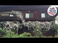 Yamagata Zao Pension Aplon Stage | Yamagata, Japan | Hotel Review 🏨