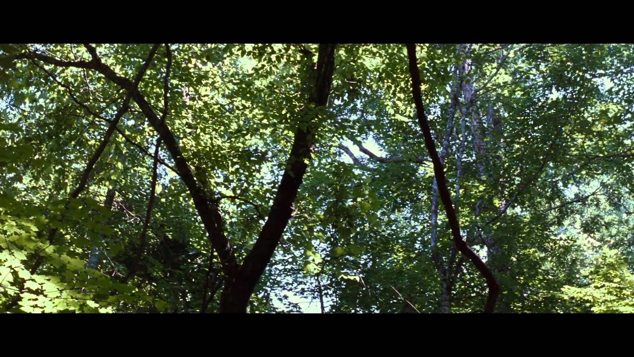 The Hunger Games Teaser