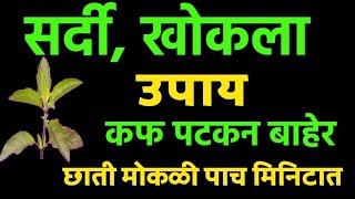 सर्दी खोकला कफ व्हायरल इन्फेक्शन उपाय|Sardi khokla gharguti upay