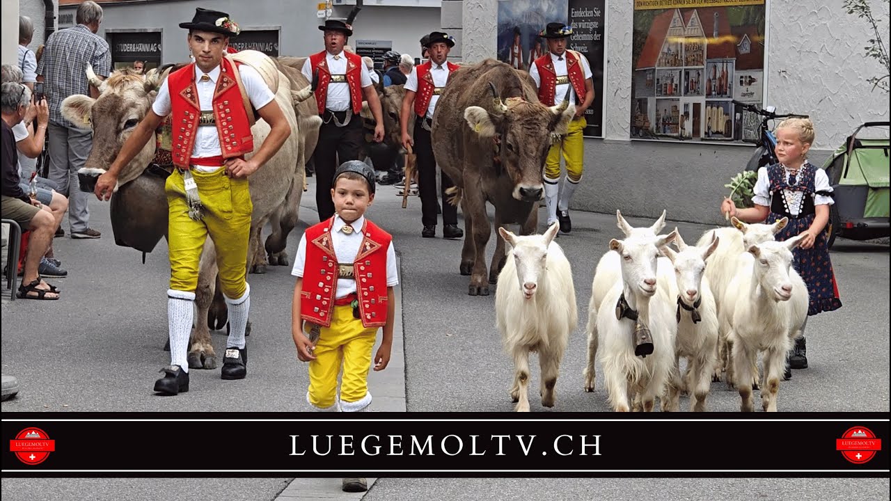 Appenzell Alpabfahrt 2024 - LuegemolTV