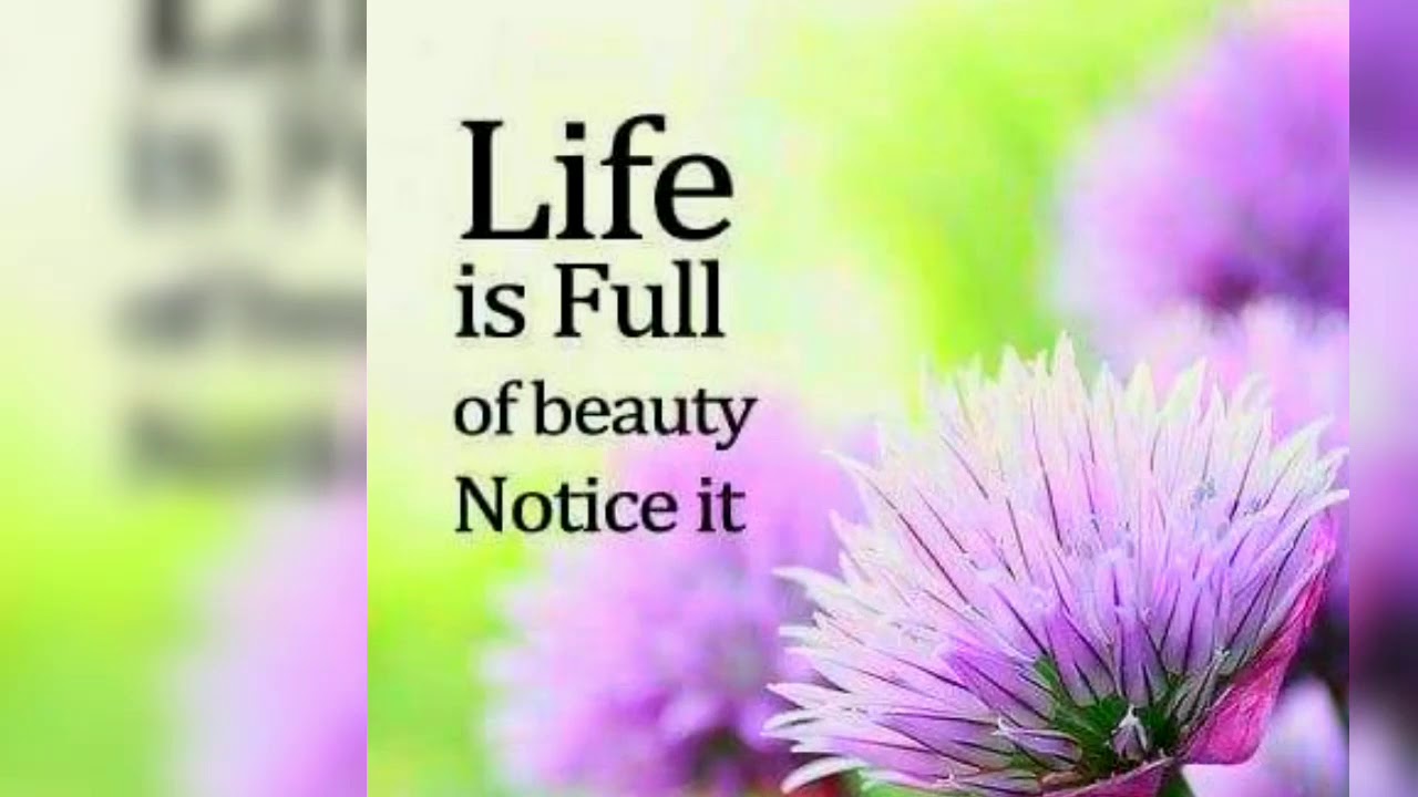Life is a flower. Life is a beautiful Flower. Life is beautiful. Life is beautiful enjoy your Life. Life is a beautiful Sport.