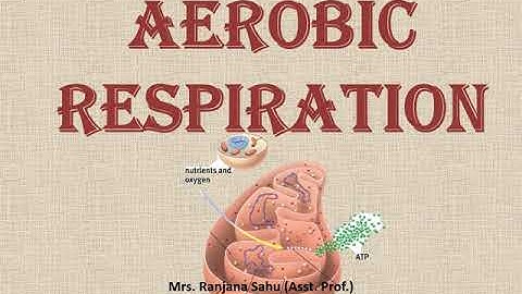 Aerobic Respiration by Asst. Prof. Ranjana Sahu