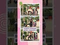 Special Assembly on United Nations Guardian World Peace | DIS Edge