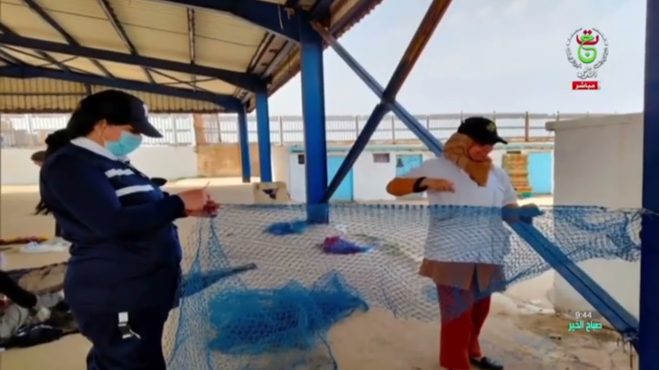 آفاق الصيد البحري وتربية المائيات ودور غرف الصيد البحري/روبورتاج مروان مشري