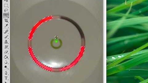 How To Use Photoshop CS4 To Selective Colorization By Happy