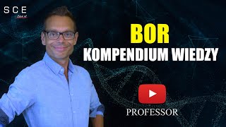 Professor odc 28 - Bor - kompendium wiedzy