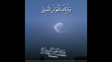 تلاوة تهتز لها القلوب للشيخ ياسر الدوسري💗حالات واتس أب دينية