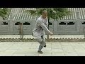 Shaolin Kung Fu: small Luohan form