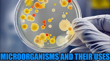 Microorganisms Class 8 CBSE|  सूक्ष्म जीव । Microorganisms| Microbes| Microorganisms uses