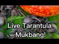 Ms jin su eating live tarantula