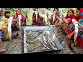 Snakehead Murrel Fish Curry (Shol  Vuna) - 20 KG Fish & 40 KG Rice Cooking - Eating While Storming