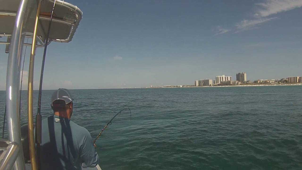 Tarpon Fishing in Destin, Fl. YouTube