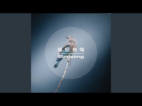 鳥鳴天堂 睡眠ASMR