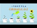 【二年级科学】单元五《植物生长的基本需求》