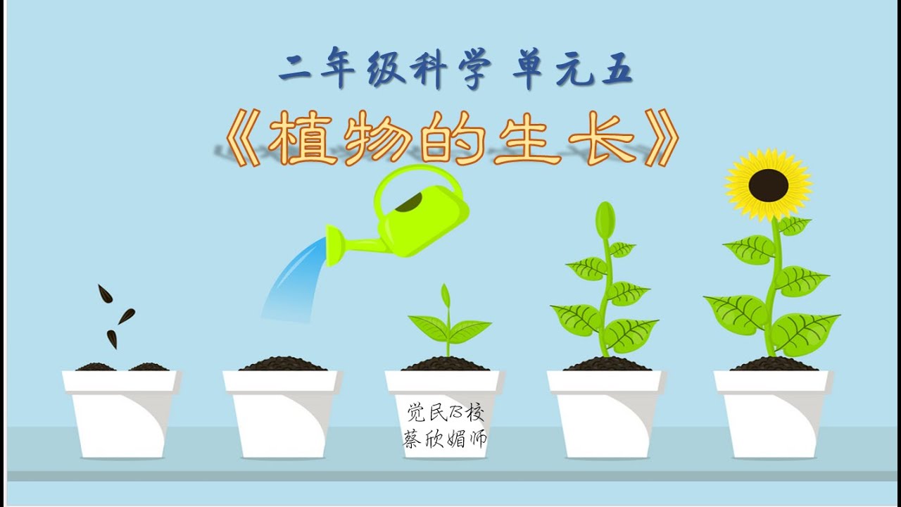 二年级科学 单元五 植物生长的基本需求 Youtube
