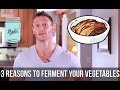 Fix a Leaky Gut | Boosting Your Gut Bacteria with Fermented Foods - Thomas DeLauer