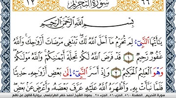سورة التحريم  احمد الطرابلسي  برواية قالون عن نافع  Surah Al Tahreem