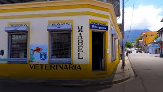 Clínica & Agro Veterinaria Mabel in Puerto Plata - Pet Shop Supply and Medicine for animals