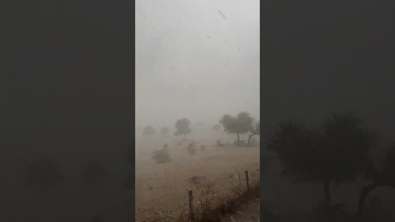 Rajasthan winter rain