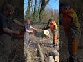 346xp vs 500i #husqvarna #stihl #bûcheron #chainsaw #chainsawman #500i @husqvarna @Stihl