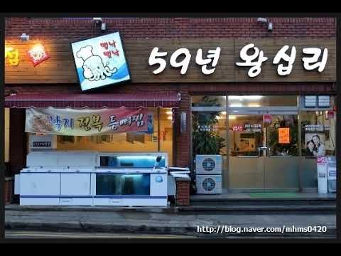 [TJ노래방라운지] 59년왕십리 - 김흥국