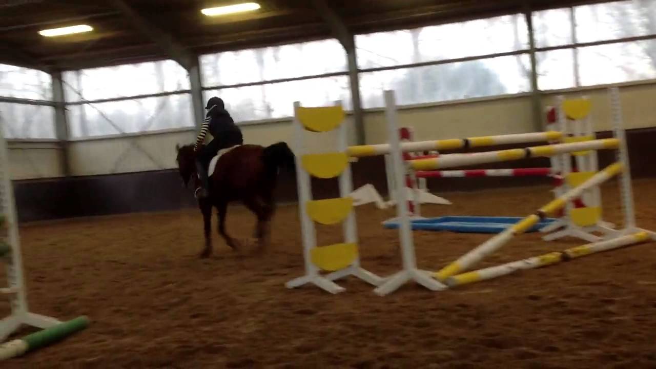 Jumping Pony