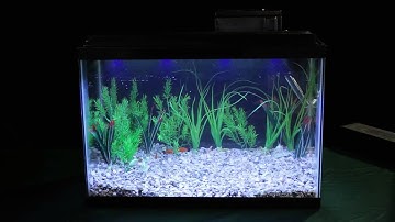 Marineland - Hidden LED Light Overview | Big Al