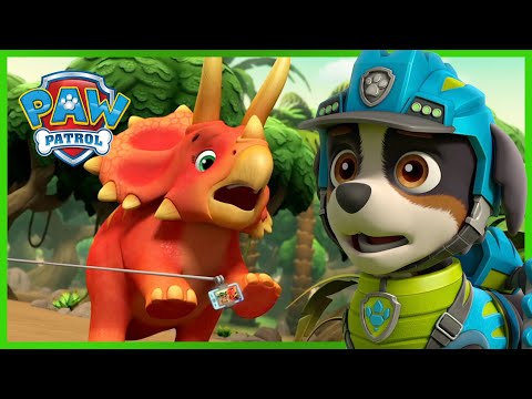 PAW PATROL COMPILATION