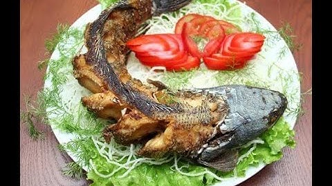 cá lóc nướng muối ớt |Quốc Tuấn Vlog