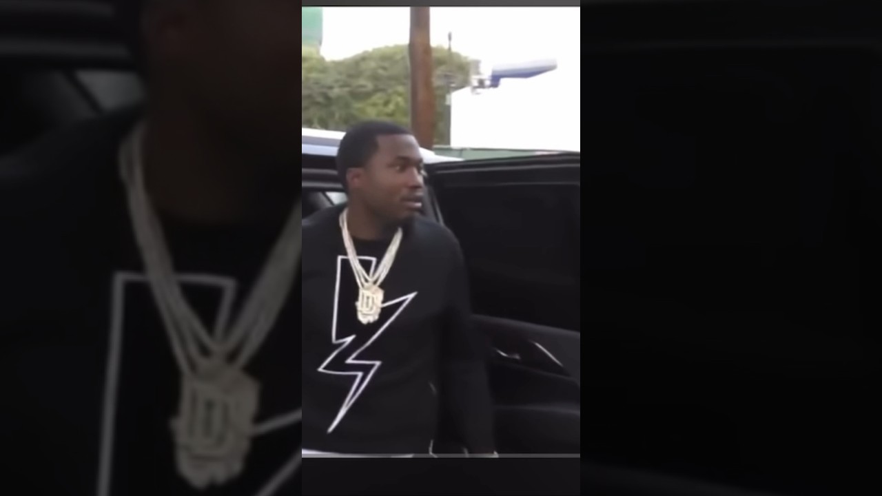 Meek Mill Goons Run Up On Safari 😳 