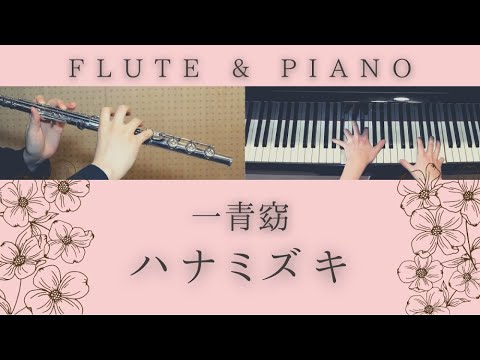 ハナミズキ / 一青窈【 フルート&ピアノ / Flute&Piano Cover 】