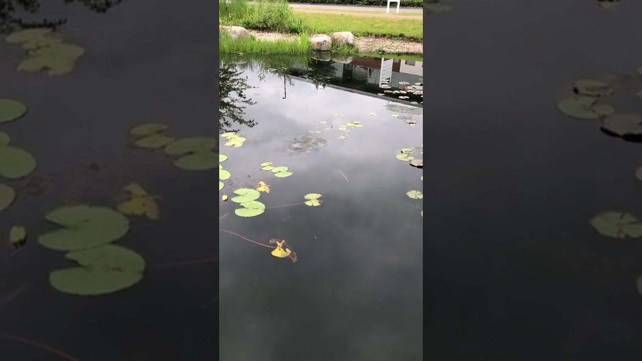 Gloucester Business Park