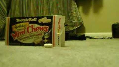 PS EYE video stop motion