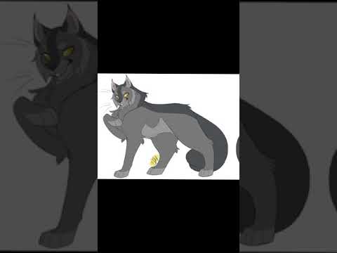 Коты-воители грозовое и
