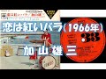 「恋は紅いバラ(1966年)」/英語歌詞・日本語歌詞。加山雄三