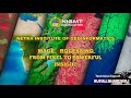 Digital Image Processing | DIP | Remote Sensing #GISTechnology #dip #GIS #geography #geology