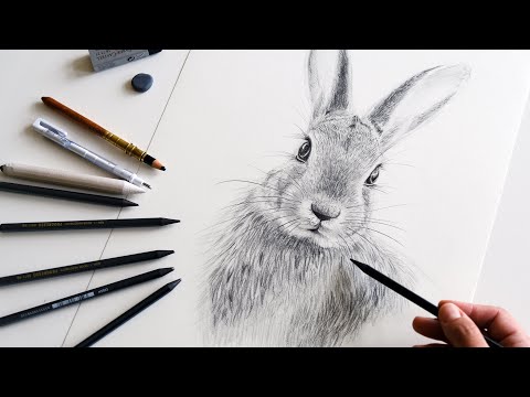 Video: How To Draw A Rabbit With A Pencil