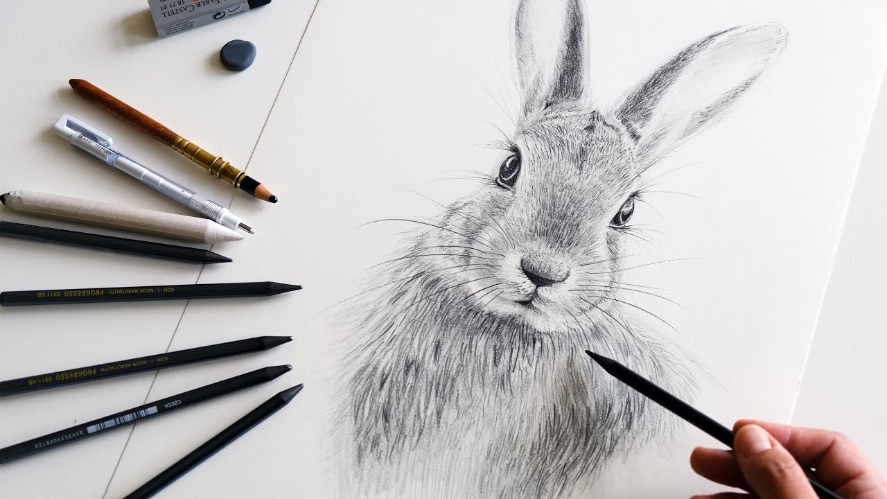 Pencil Sketch Bunny · Creative Fabrica