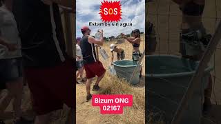 🆘 Estamos sin agua en el santuario nuevo 🚨 #caballos #vacas #vaca #animals