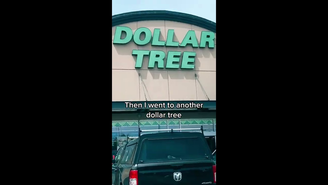 The Dollar Tree Is SELLING My Keychains For A Shorts